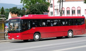 autobuz STP